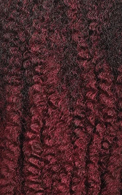 Outre Crochet Braids X-Pression Twisted Up 3X Springy Afro Twist 24"