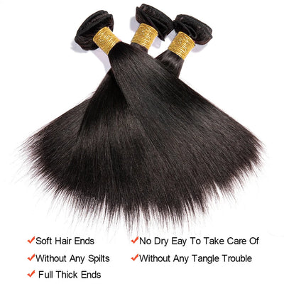Hair Raw Indian Straight Human Hair