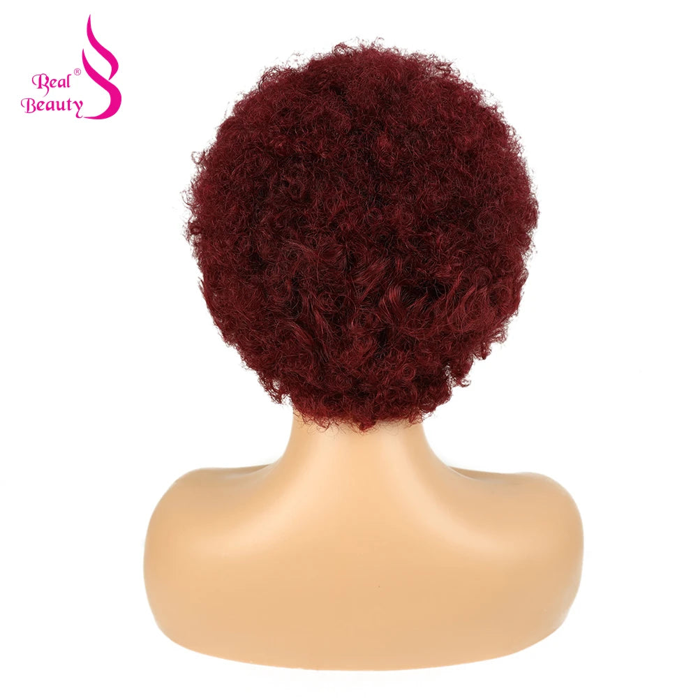 Afro Kinky Curly Braided Lace Front Wig - JoySky Hair