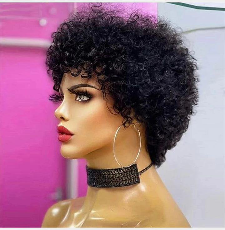 Bouncy Afro Kinky Curly Human Hair Wig - JoySky Hair