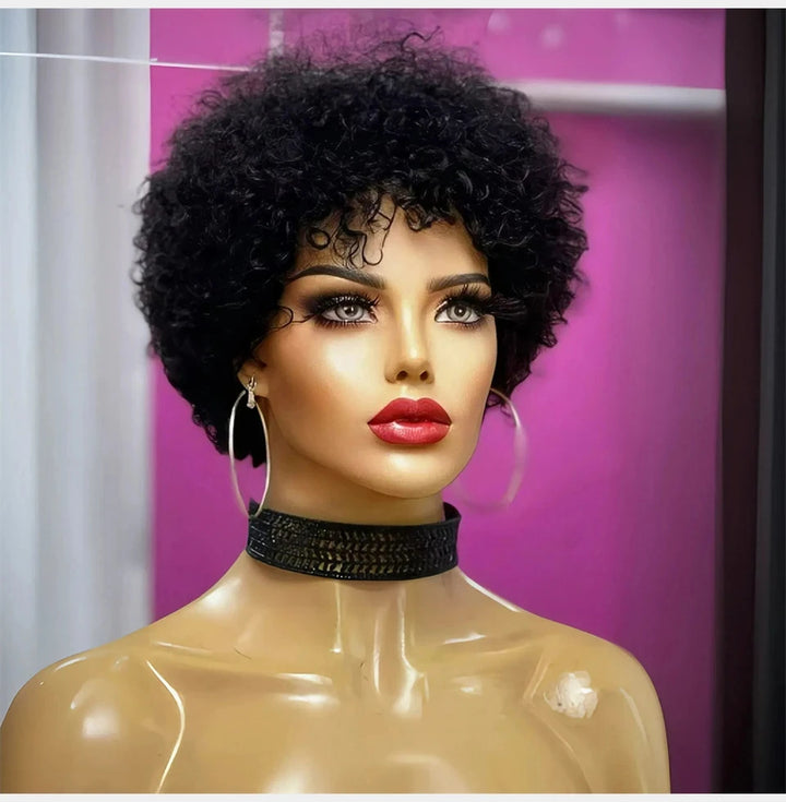 Bouncy Afro Kinky Curly Human Hair Wig - JoySky Hair
