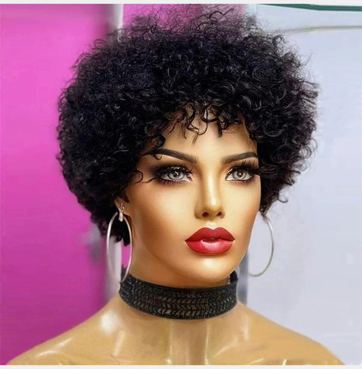 Bouncy Afro Kinky Curly Human Hair Wig - JoySky Hair