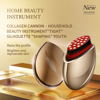 EMS Microcurrent Face Lifting Skin Tightening Massager Red Light Collagen Regeneration Anti-Aging RF Anti-Wrinkle Beauty Device