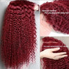 13x6 13x4 HD Lace 99J Red Front Human Hair Wigs