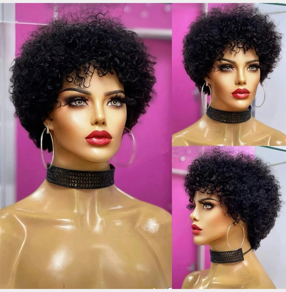 Bouncy Afro Kinky Curly Human Hair Wig - JoySky Hair