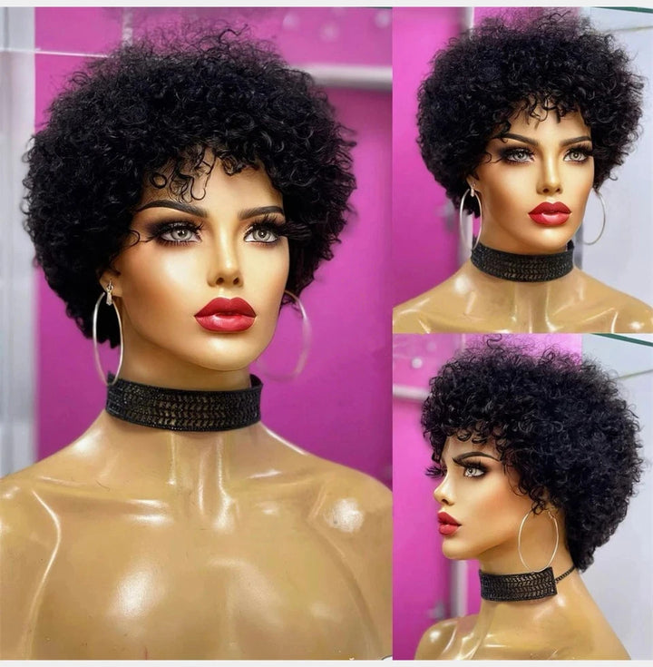 Bouncy Afro Kinky Curly Human Hair Wig - JoySky Hair